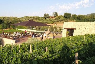 Small-Group Exclusive Winery and Wine Tasting Tour in Frascati
