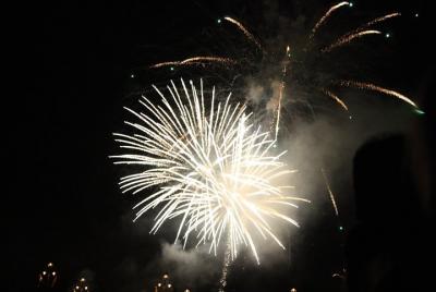 New Year New Year's Eve Dinner Cruise in Budapest