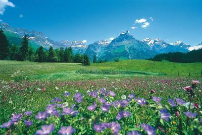 Day Trip to Lucerne and Engelberg from Zurich