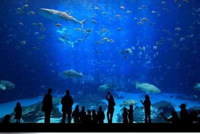 Skip the Line: Aquarium, Snow World/Ice Museum, WildPark, Oceanr  Skip the Line: Aquarium, Snow World/Ice Museum, WildPark, Oceanr