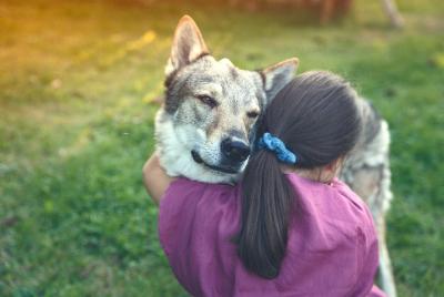 Dance with wolves, photo tour