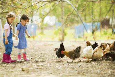 Educational farm for children in Rome