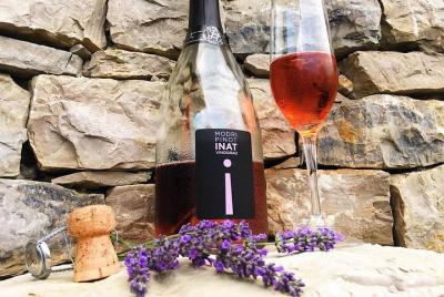 Small-group Wine Tasting Expiriance, with lunch in vineyard