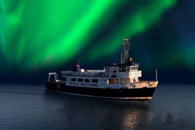Northern Lights by Boat from Reykjavik Northern Lights by Boat from Reykjavik