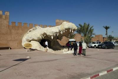 Discover the amazing Park of CROCODILE Discover the amazing Park of CROCODILE