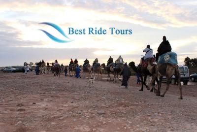 Agadir Camel Riding  Agadir Camel Riding