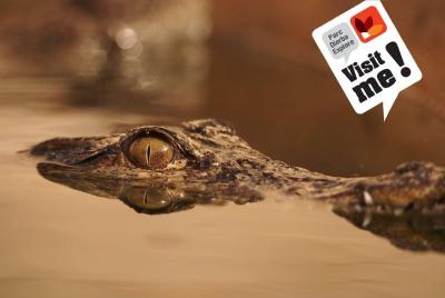 Skip the Line: Djerba Explore Park Admission Ticket Skip the Line: Djerba Explore Park Admission Ticket