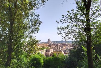 10 Wonders of Rome in 3 hrs