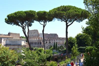 Rome: Colosseum in French with free or guided access to the Forum