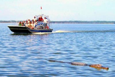Everglades National Park Fan-Boat with or without roundtrip trans Everglades National Park Fan-Boat with or without roundtrip trans