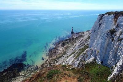 Full-Day Small-Group White Cliffs of Sussex Tour from London