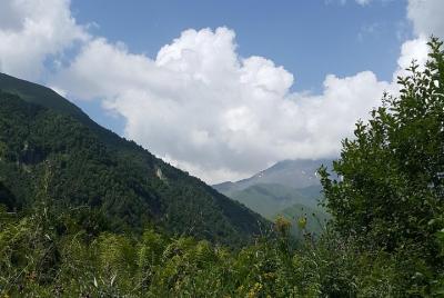 Kakheti private wine tour