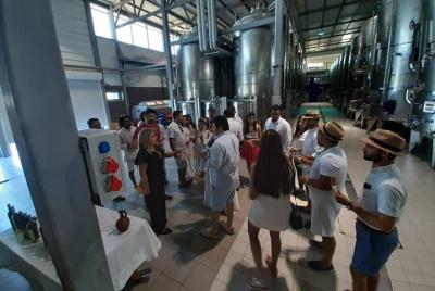 Budget Wine Tour Baku with Group Budget Wine Tour Baku with Group