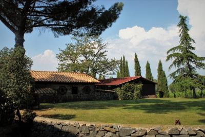 Frascati Wine Tasting Guided Tour from Rome