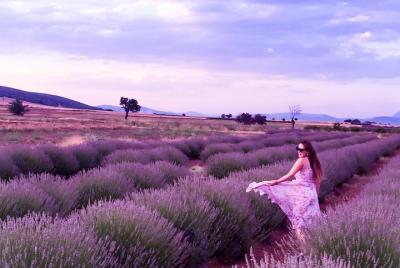 Lavander fields and Salda lake from Antalya