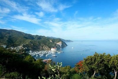 Catalina Island Day Trip from Anaheim with Optional Upgrades Catalina Island Day Trip from Anaheim with Optional Upgrades
