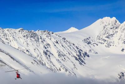30 Minute Flightseeing Tour from Girdwood 30 Minute Flightseeing Tour from Girdwood