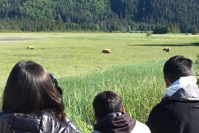 Bear Viewing Excursion and Airplane Adventure Tour Bear Viewing Excursion and Airplane Adventure Tour