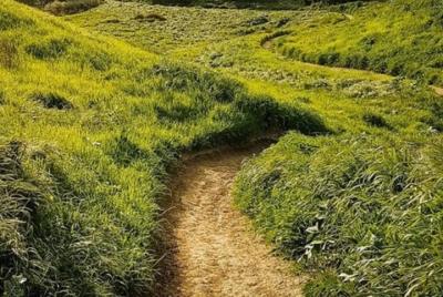 TURNBULL CANYON (Whittier) Electric MTB - Freeride - (BEGINNER) TURNBULL CANYON (Whittier) Electric MTB - Freeride - (BEGINNER)