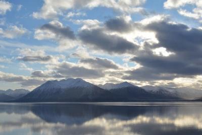 Turnagain Arm and Portage Valley Private Tour