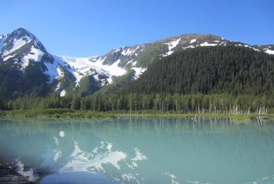 Turnagain Arm Tour: "A Must See Destination" Turnagain Arm Tour: