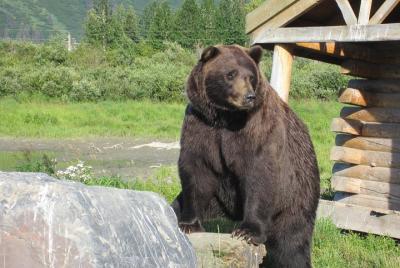 Alaska Wildlife Conservation Center Express Alaska Wildlife Conservation Center Express