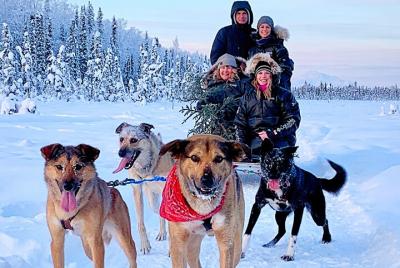 Private Dog Sledding Adventure in Alaska