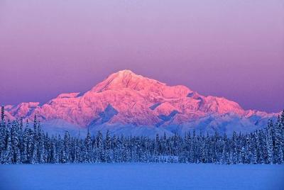 Afternoon Wilderness, Wildlife, Glacier Experience from Anchorage Afternoon Wilderness, Wildlife, Glacier Experience from Anchorage