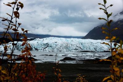 Matanuska Glacier Wildlife & Wilderness Photo Tour from Anchorage Matanuska Glacier Wildlife & Wilderness Photo Tour from Anchorage