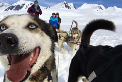 Alaska Helicopter and Glacier Dogsled Tour Alaska Helicopter and Glacier Dogsled Tour