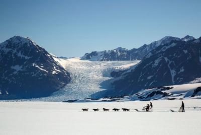 Helicopter Glacier Dogsled Tour with Lower Glacier Landing Helicopter Glacier Dogsled Tour with Lower Glacier Landing
