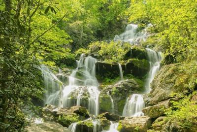Guided Waterfall Hike with Expert Naturalist.