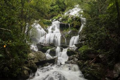 Half Day Hike - Water Falls Half Day Hike - Water Falls