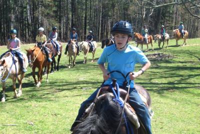 Guided Horseback Riding Adventure on the Flame Azalea Trail