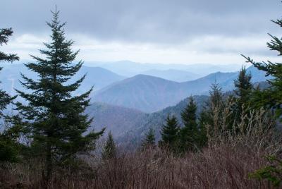 Half-Day Small-Group Snowshoe Hiking in Asheville