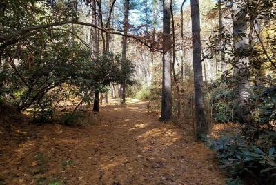 North Carolina Arboretum Running Tour in Asheville North Carolina Arboretum Running Tour in Asheville