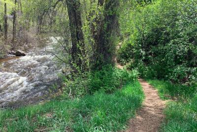 Aspen East End Light Hike