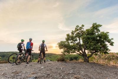Mountain bike tour of Prague parks & nature