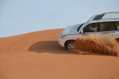 Safari Half-Day Adventure from Abu Dhabi Safari Half-Day Adventure from Abu Dhabi