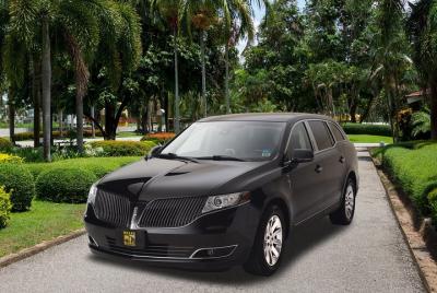 Private Baltimore Transfer: Airport to Hotel or Cruise Port