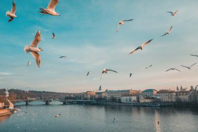 Photogenic Prague with a Local Photogenic Prague with a Local