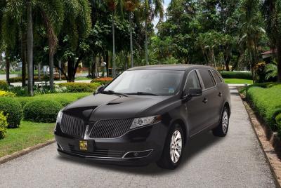 Private Atlanta Transfer: Airport to Hotel