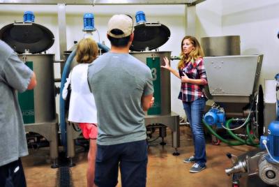 Texas Hill Country Olive Mill Tour & Extra Virgin 101 Texas Hill Country Olive Mill Tour & Extra Virgin 101