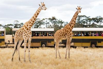 Werribee Open Range Zoo General Admission Ticket Werribee Open Range Zoo General Admission Ticket