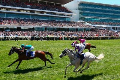 Cultural Melbourne City Tour