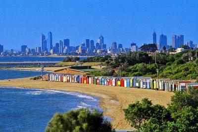 Melbourne City Tour: Sporting Icons and the Bayside