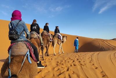 Full-Day Atlas Mountains and Desert Agafay Tour from Marrakech