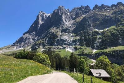 Road or Mountain bike day Road or Mountain bike day