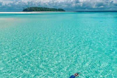 Mnemba snorkeling and dolphins tour  Mnemba snorkeling and dolphins tour