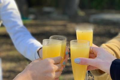 Outdoor Yoga & Mimosas